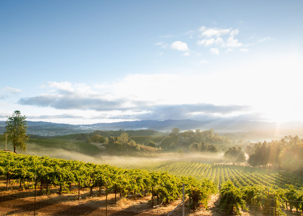 Sonoma Sustainability